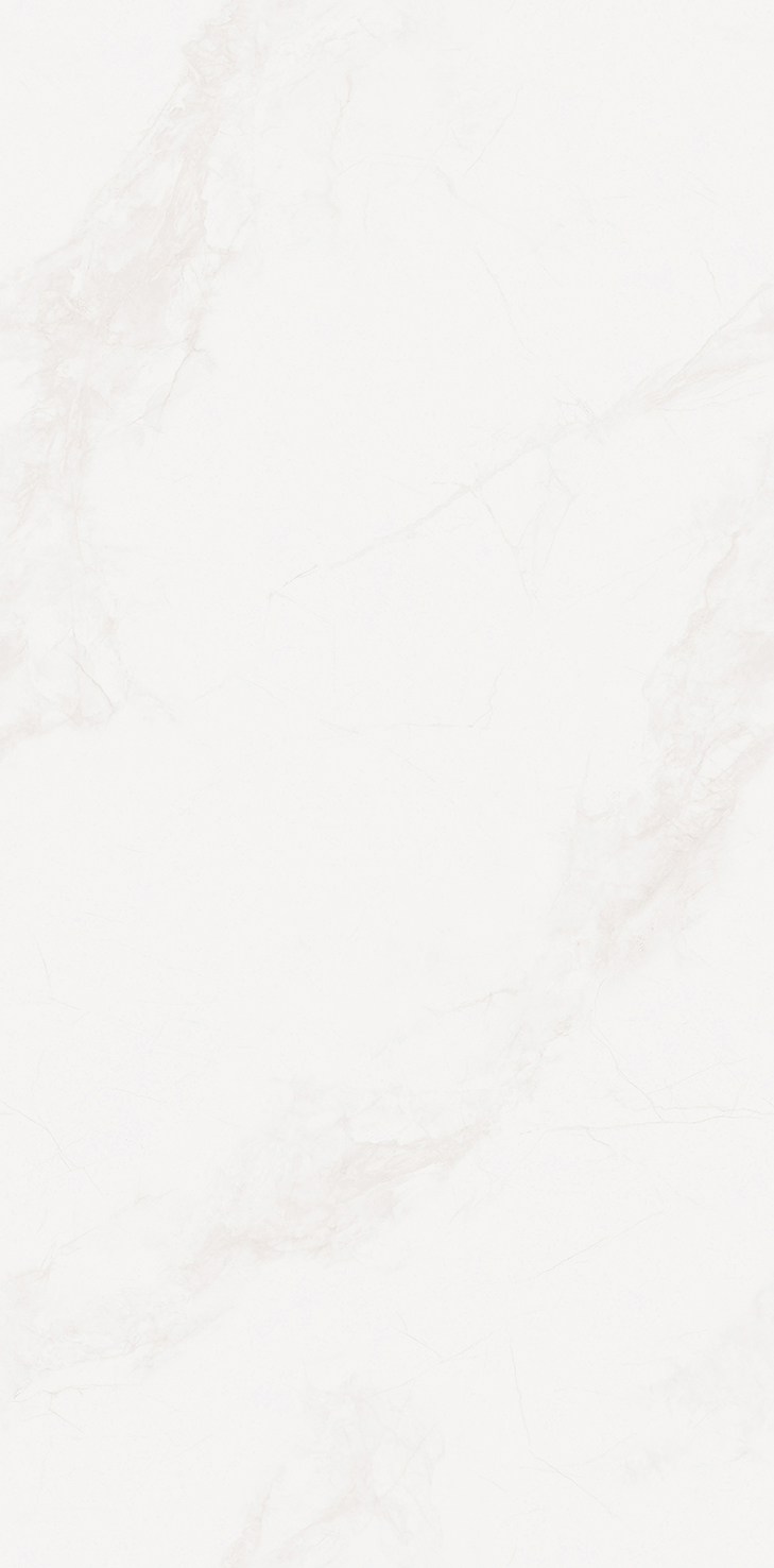 LMJ1890Y16A寒江雪